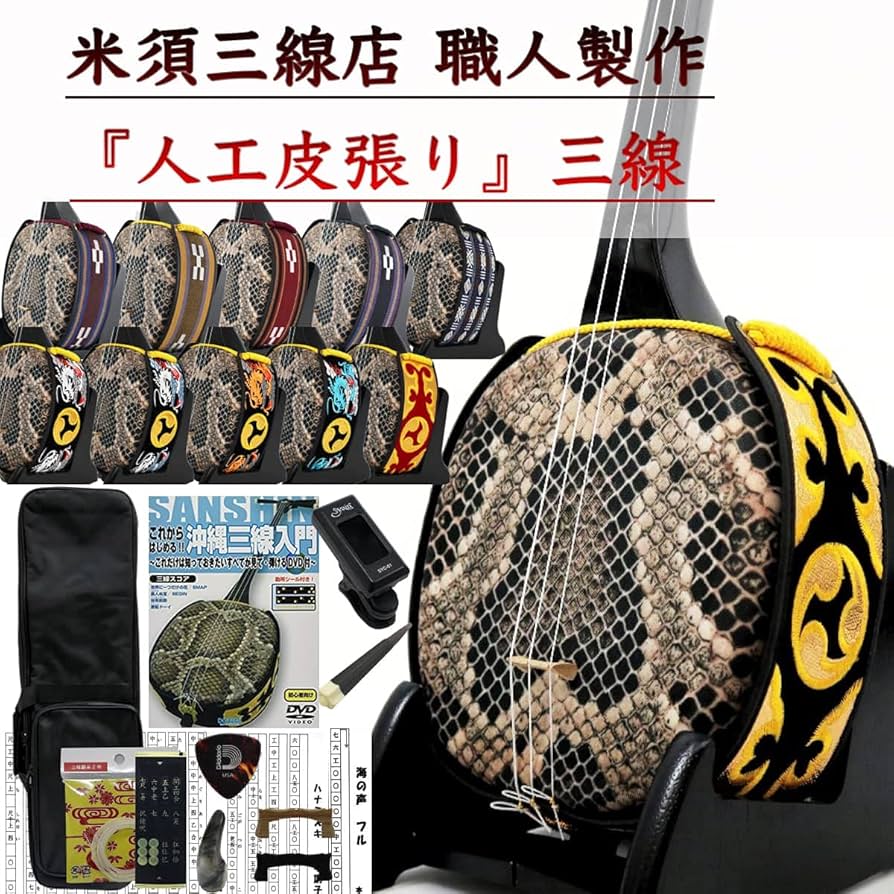 三線 沖縄三線初心者にもやさしいお得なセット 教本、DVD